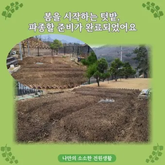 봄 텃밭 준비 토양 갈기 석회 퇴비 잡초 씨 제거_9