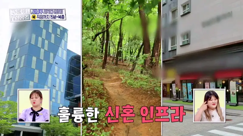 구해줘홈즈 강남구 세곡동 세모의 집 다가구 주택 하우스 매물 가격 및 구조 인테리어 리모델링 소개