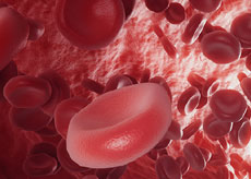 혈압톱 후기&amp;#44; 효능&amp;#44; 가격