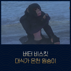 마비노기