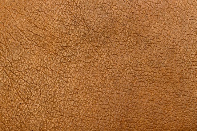 식물성 가죽(Vegan Leather) – 농산물을 이용한 친환경 가죽 대체 소재