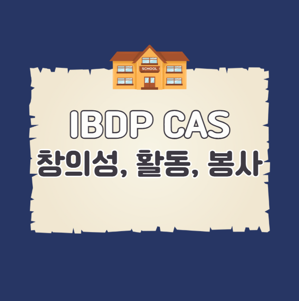 IBDP CAS의 분류