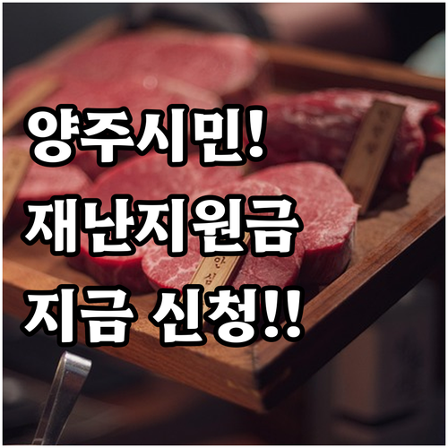 2025년 양주시 재난비용 및 상해 ..