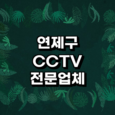 부산 연제구 cctv