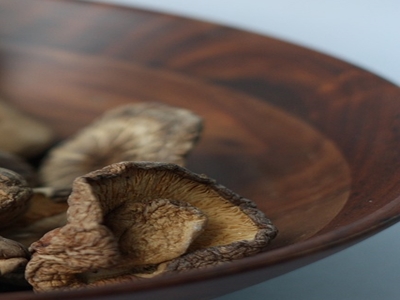 표고버섯 효능 사진40