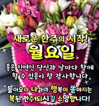 아침 인사말 이미지 모음 밝고 따뜻한 하루 인사 문구 정리_5