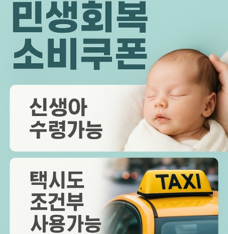 내가 놓친 정부보조금 - 민생회복 소비쿠폰