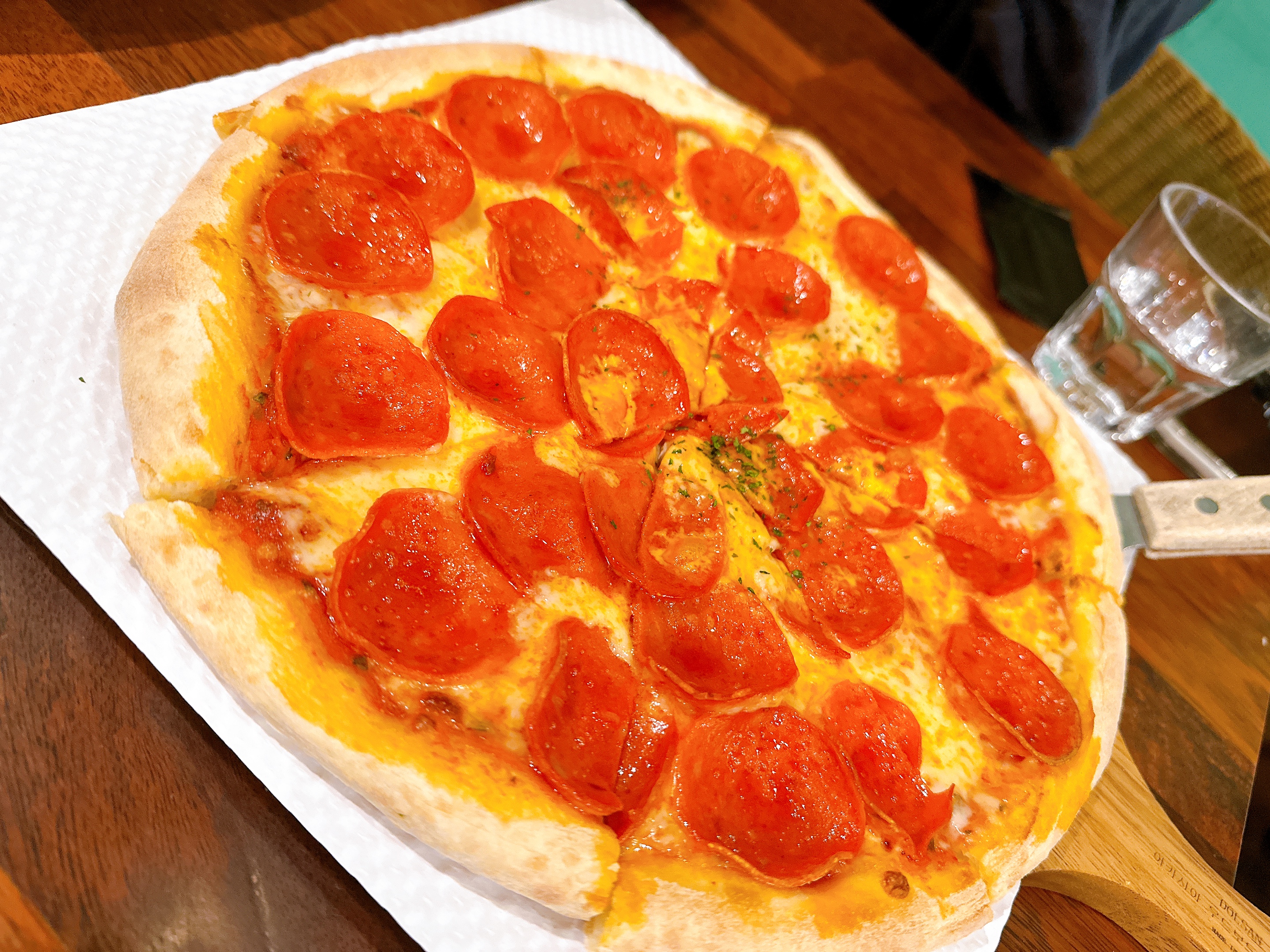 더몰트하우스 서핑시티