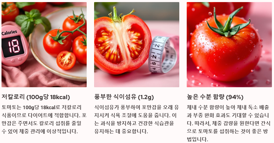 다이어트 체중조절에 도움