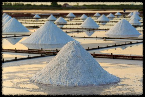 소금, 인류 역사의 최강 만능템 – 몰랐던 활용법 총정리