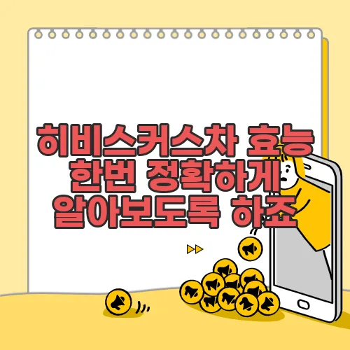 히비스커스차 효능 한번 정확하게 알아보도록 하죠