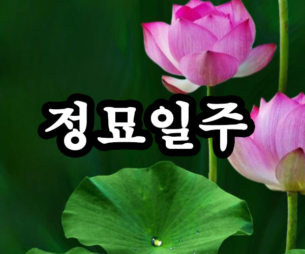 정묘일주 썸네일