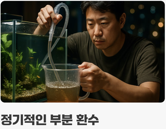 수정처럼 맑은 샘물의 법칙