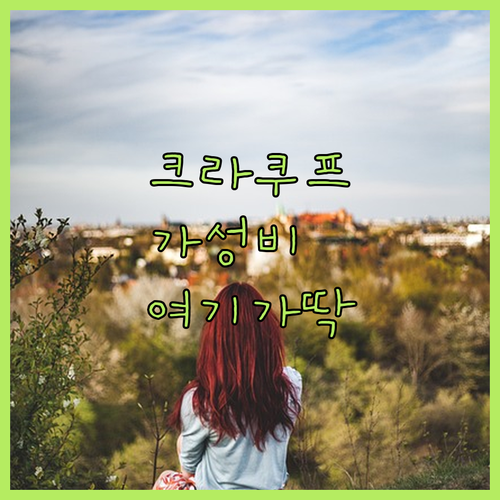 크라쿠프 여행 숙소 베스트 5곳 비교..