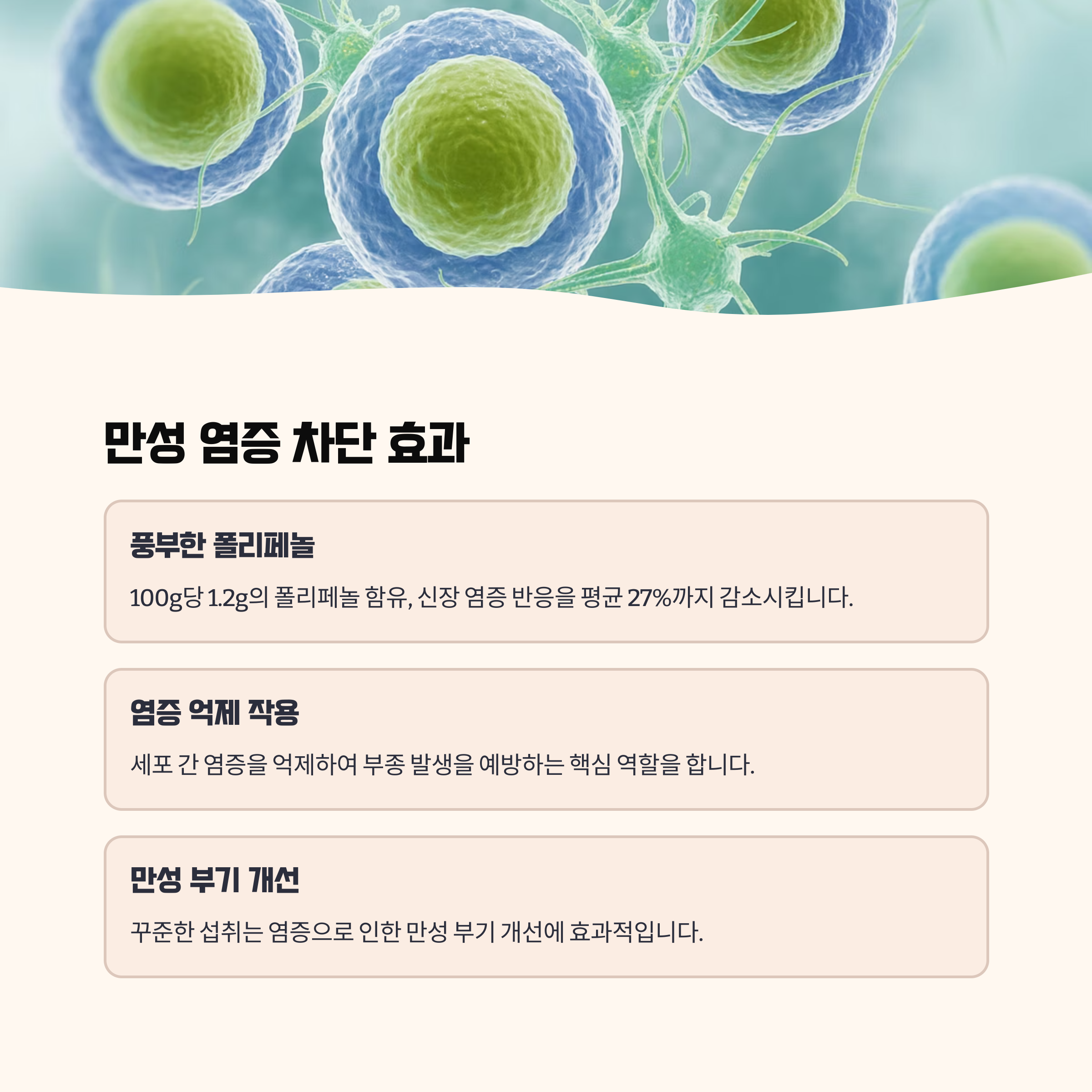 만성 염증 차단