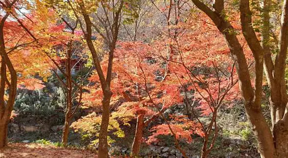 강천산