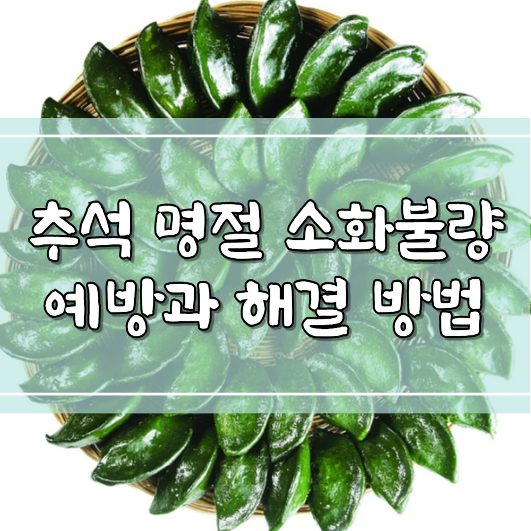 추석 명절 소화불량 예방과 해결 방법