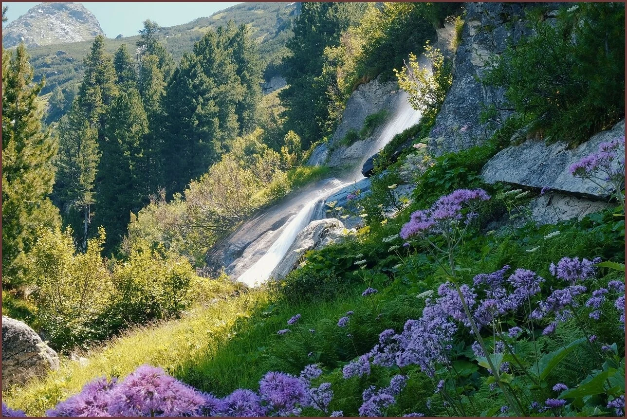 은행 정기예금 금리비교
