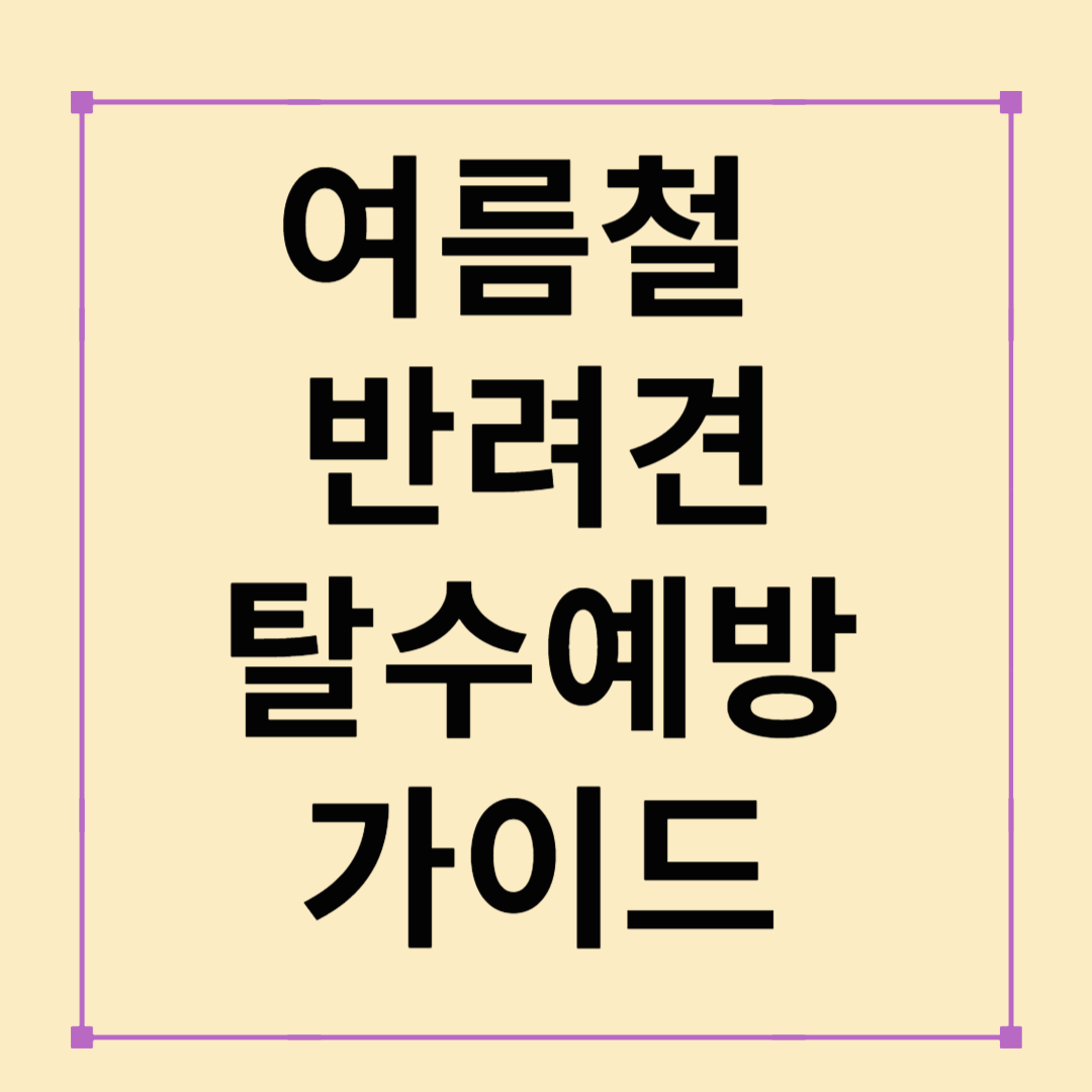 여름철 반려견 탈수 예방 가이드: 수분관리부터 응급대응까지