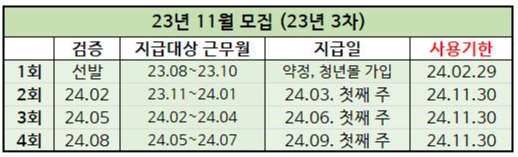 경기도 청년복지포인트 3차 사용기한