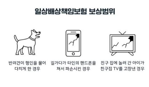 일상생활-배상책임보험-보상범위