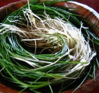 달래 효능 부작용 뿌리 고르는법