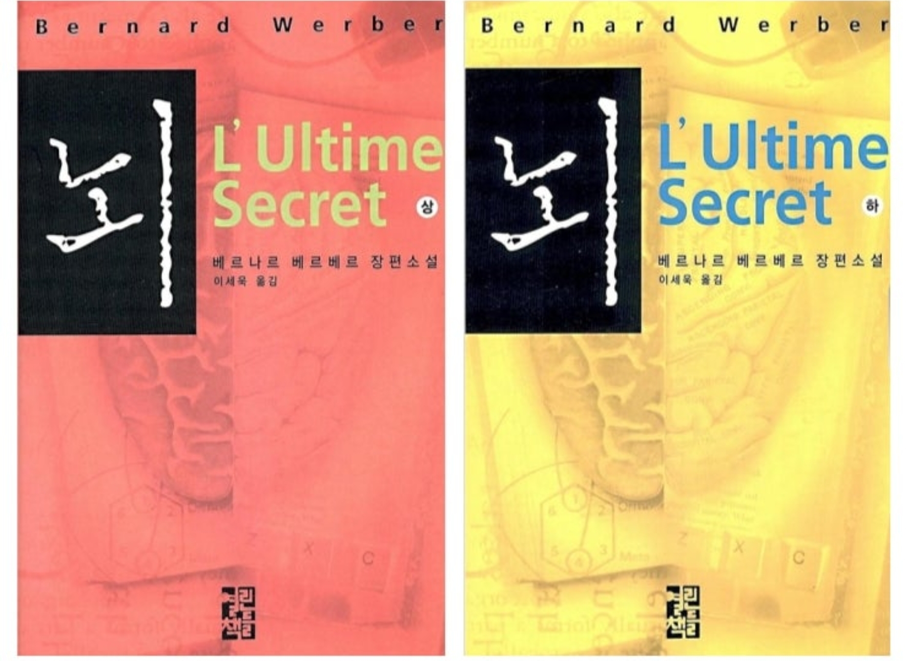 베르나르 베르베르의 소설 뇌 표지