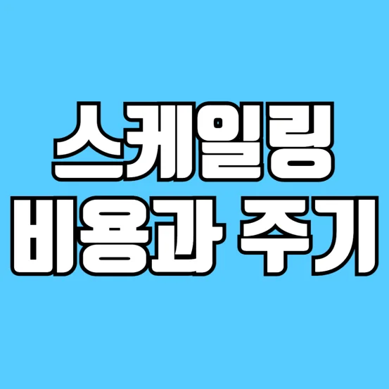 스케일링-비용-가격-주기-시간-총정리-썸네일