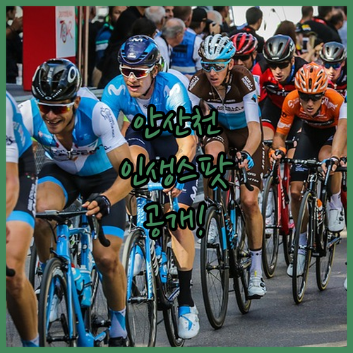 안산천 라이딩 인생 사진 스팟 정보와..