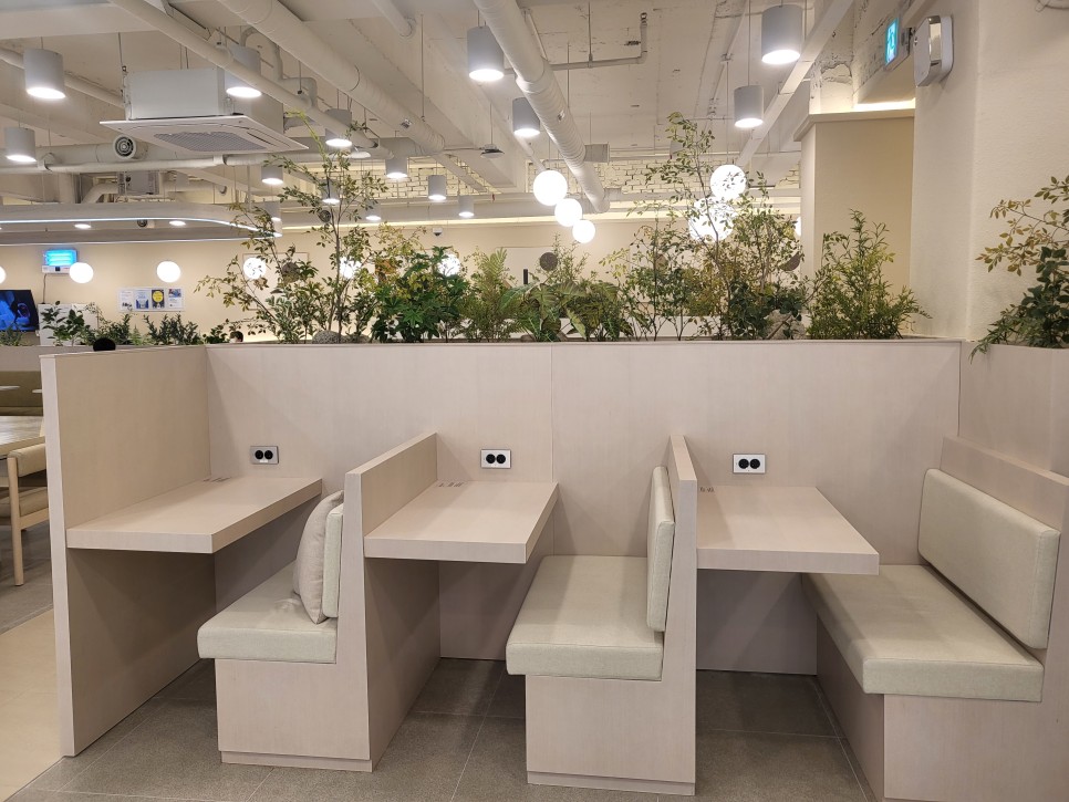패파 라운지 포커싱존