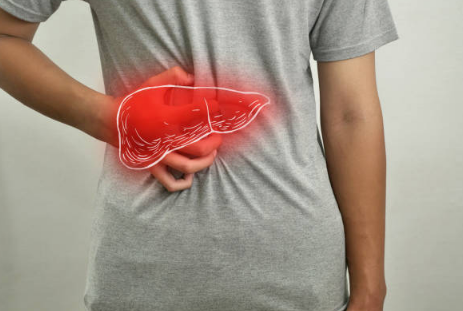 지방간 증상, 없애는 방법, 원인 총정리 (2024ver)