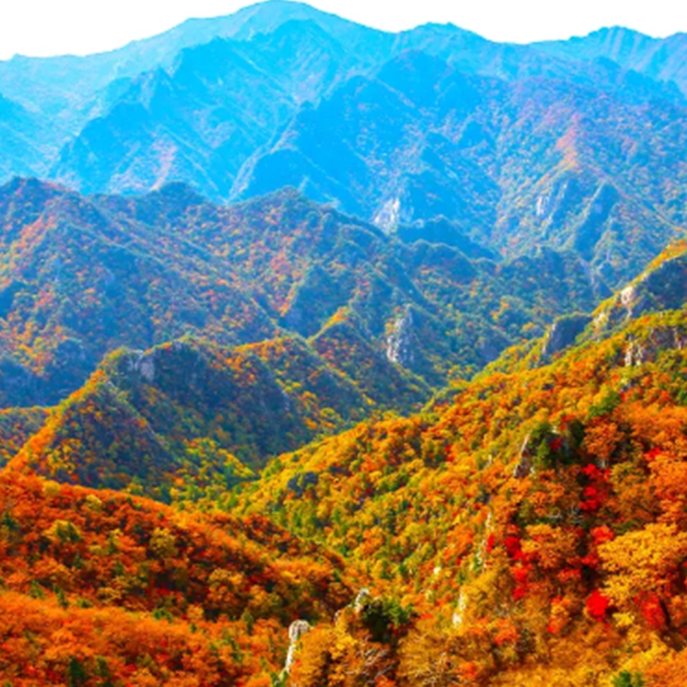단풍 명소25곳