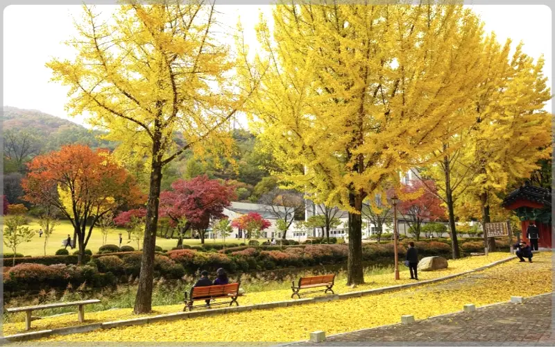 배론성지_8