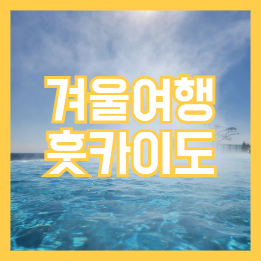 겨울 훗카이도 여행가이드 (Feat.유용한팁)