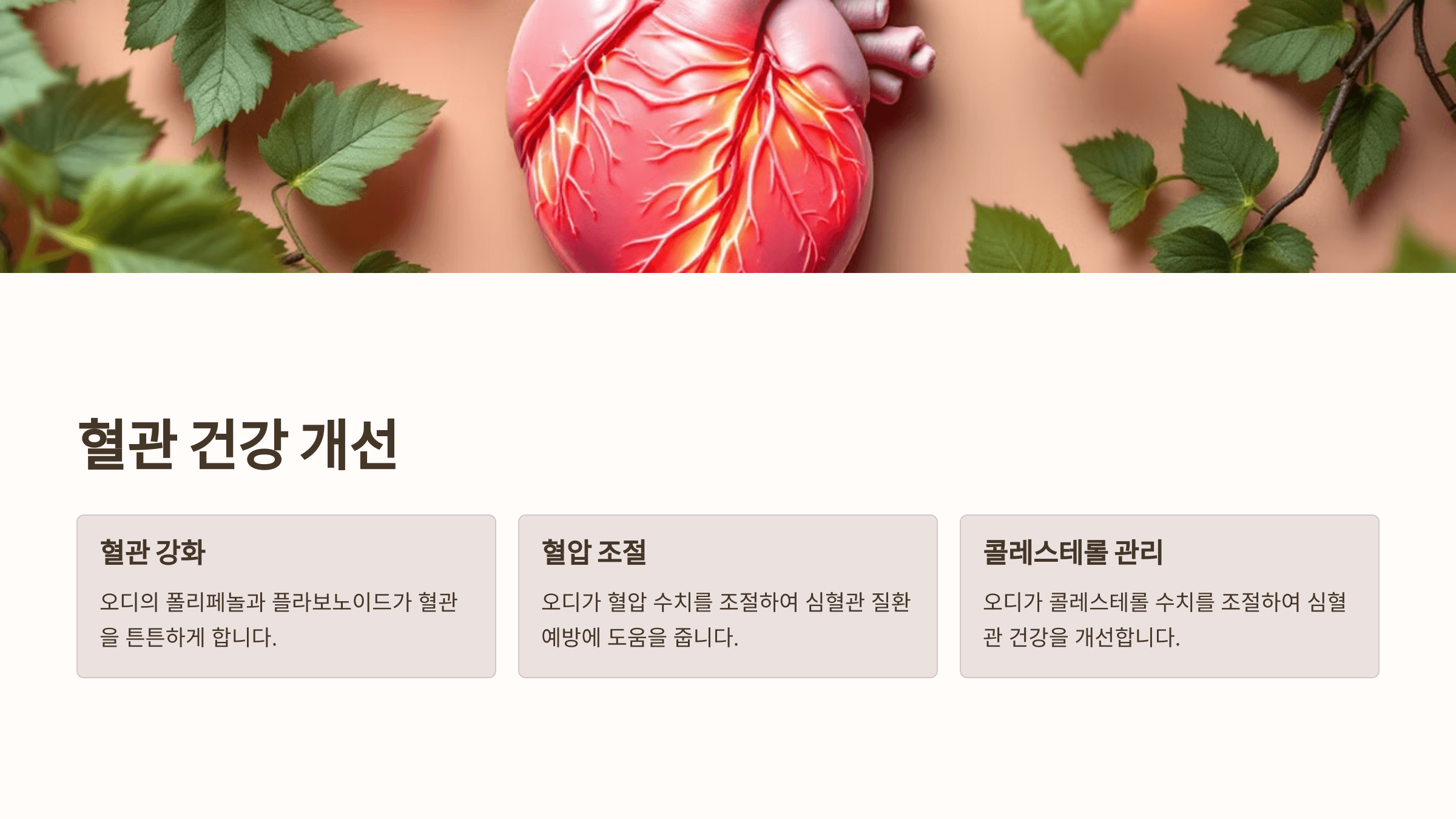 오디 사진입니다.