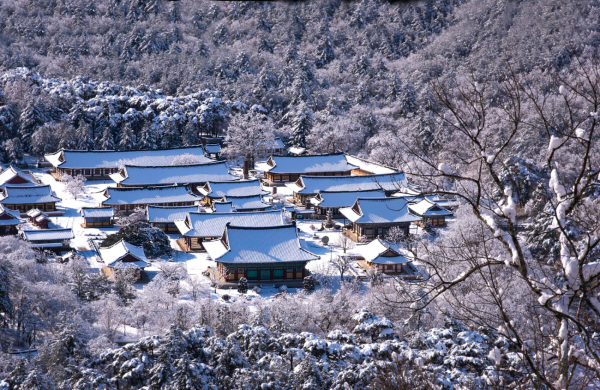 경상도 겨울 트레킹 추천 BEST 5 : 고요하고 깊은 남부의 겨울 숲길