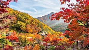 아이와 가을여행