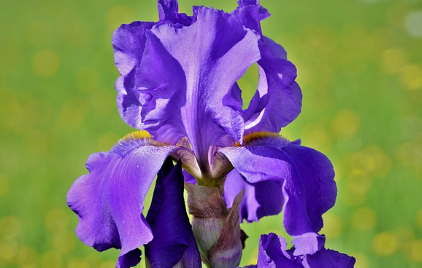 화담숲-예약-방법