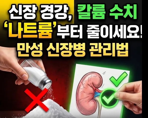 신장 건강, '이것'부터 줄이세요! 만성 신장병 나트륨 관리법