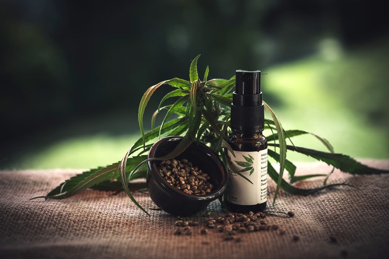 삼베 잎사귀, 씨앗, 그리고 작은 병이 숲 배경에 놓여 있습니다.