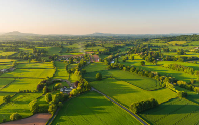 평화로운 농촌의 풍경