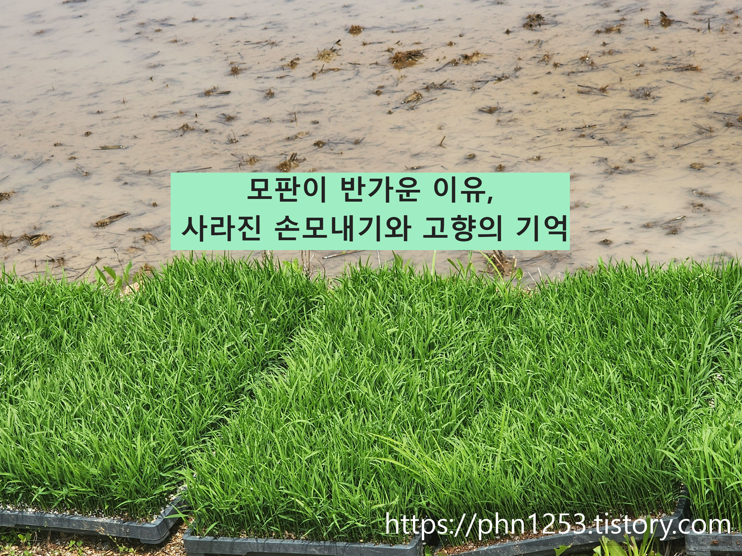 Alt 속성 문제 해결 설명 이미지