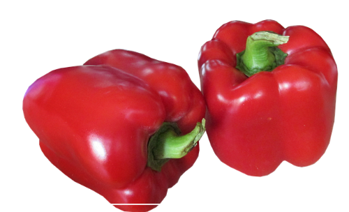 피망 섭취 시 주의할 부작용