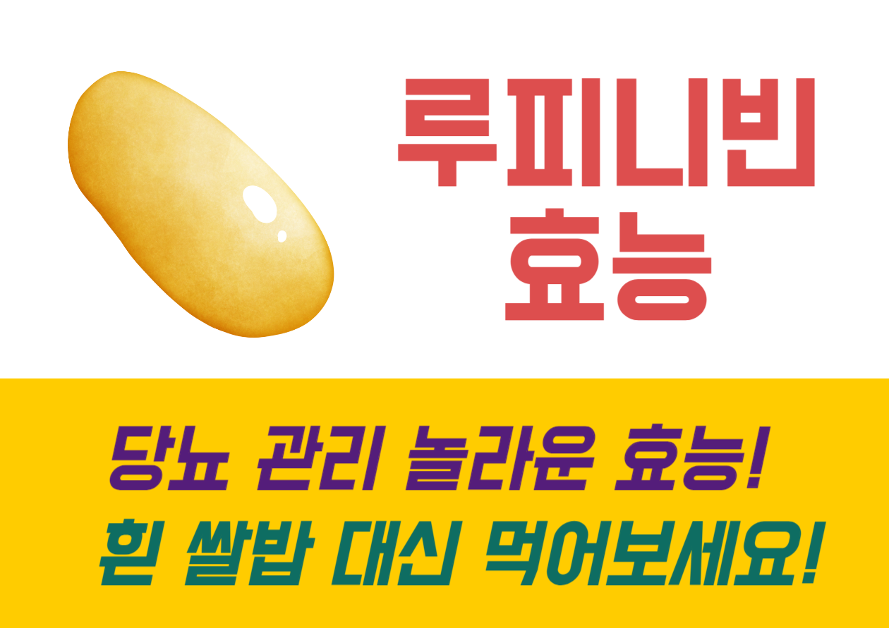 루피니빈 흰 쌀밥 대신 먹어보세요! 당뇨 관리 놀라운 효능! 오늘은 &#39;루피니빈&#39;이라는 특별한 식품에 대해 이야기하려고 합니다. 루피니빈&#44; 들어보셨나요? 루피니빈은 우리 몸에 좋은 단백질과 식이섬유를 풍부하게 함유하고 있는 식품으로&#44; 건강을 생각하는 많은 사람들 사이에서 인기를 끌고 있어요. 오늘은 루피니빈의 놀라운 건강 이점부터&#44; 어떻게 활용하면 좋을지까지 함께 알아보려고 합니다.