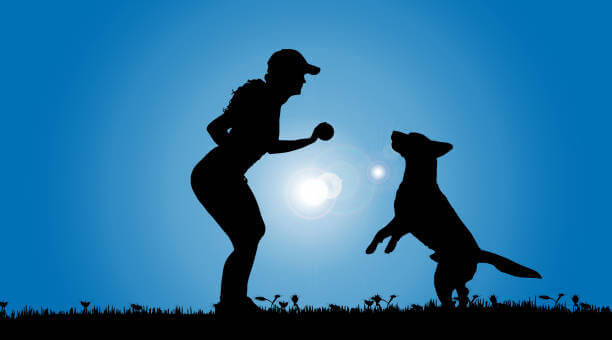 강아지 동반 기차여행 가능한 열차 노선 & 예매 방법 총정리