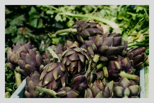 아티초크 차 효능 – 건강을 위한 변화