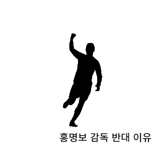 홍명보감독반대이유