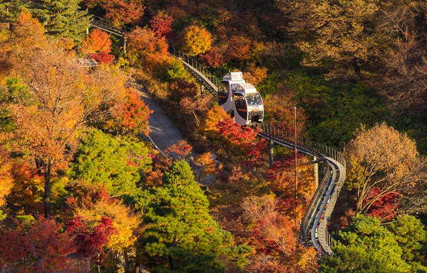 화담숲 모노레일 이미지
