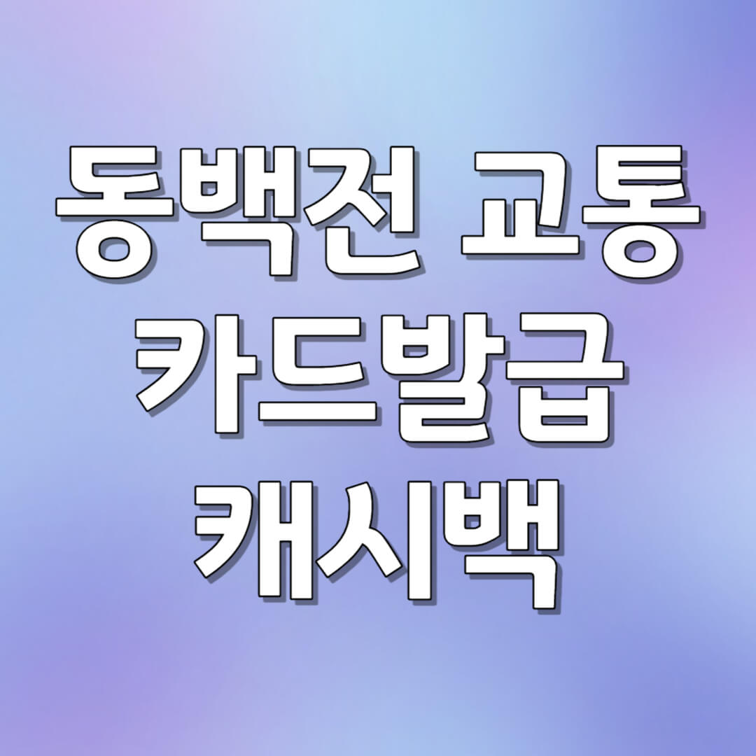 동백전 교통카드 발급과 캐시백 받는 방법