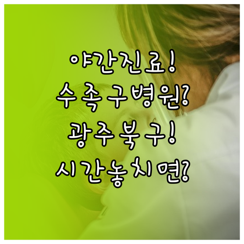 광주 북구 수족구 병원 위치와 진료 ..